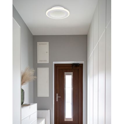 Globo - LED loftlampe LED/12W/230V 4000K