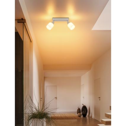 Globo - Loftspot 2xE14/25W/230V
