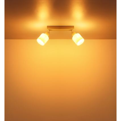 Globo - Loftspot 2xE14/25W/230V
