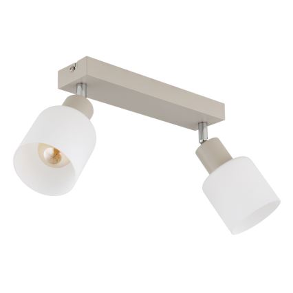 Globo - Loftspot 2xE14/25W/230V