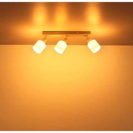Globo - Spotlampe 3xE14/25W/230V