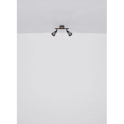 Globo - Spotlampe 2xE14/25W/230V
