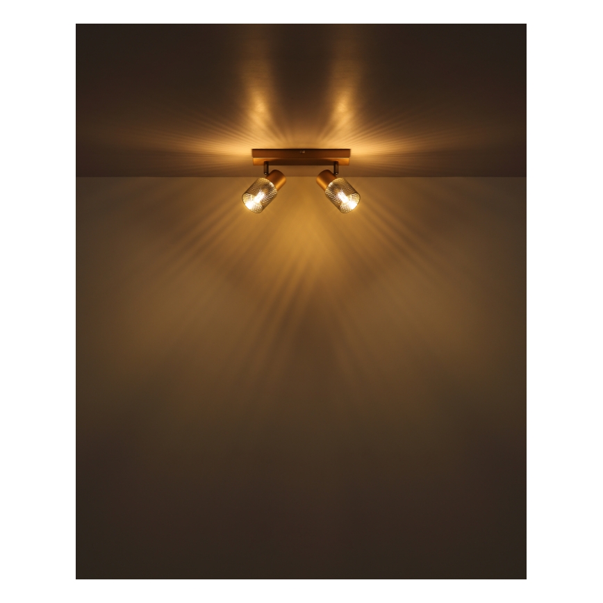 Globo - Spotlampe 2xE14/40W/230V