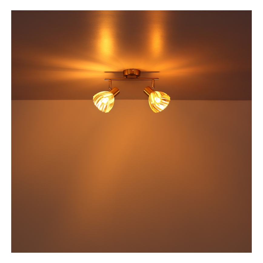 Globo - Spotlampe 2xE14/40W/230V guldfarvet
