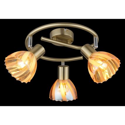 Globo - Spotlampe 3xE14/40W/230V guldfarvet