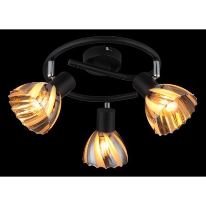 Globo - Spotlampe 3xE14/40W/230V sort