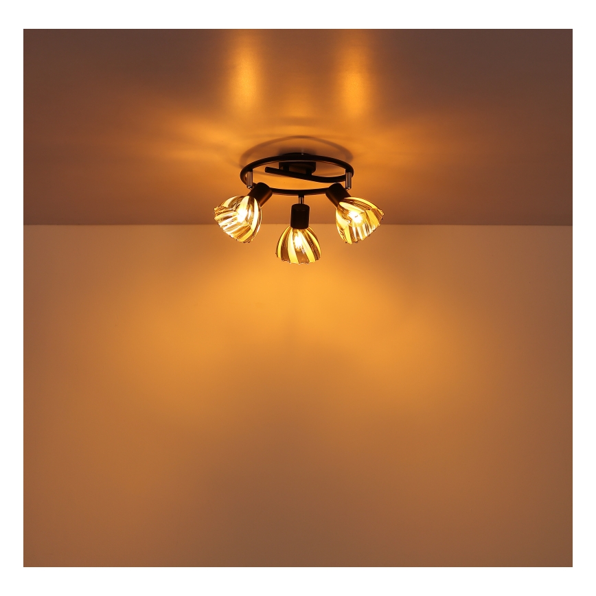 Globo - Spotlampe 3xE14/40W/230V sort