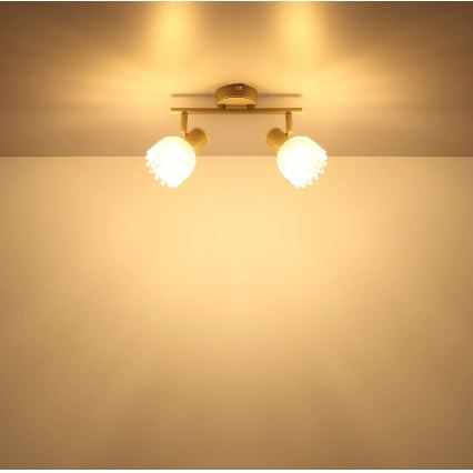 Globo - Spotarmatur 2xE14/40W/230V