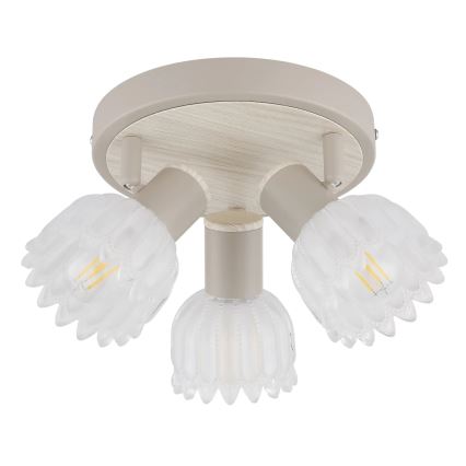 Globo - Spotlampe 3xE14/40W/230V