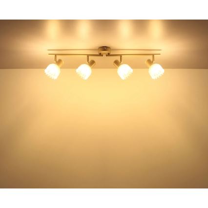 Globo - Spotlampe 4xE14/40W/230V