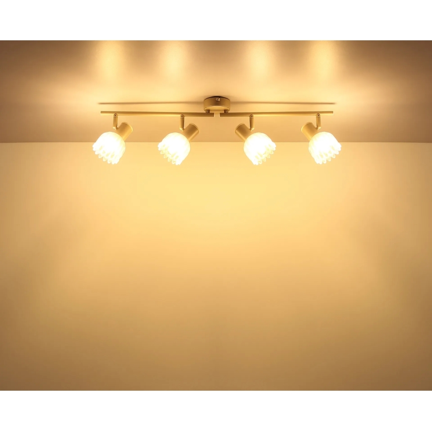Globo - Spotlampe 4xE14/40W/230V
