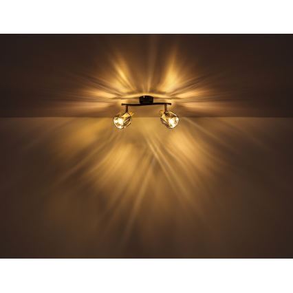 Globo - Spotlampe 2xE14/40W/230V