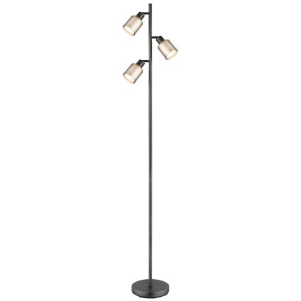 Globo - Gulvlampe 3xE14/25W/230V