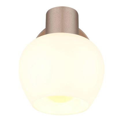 Globo - Væglampe med spot 1xE27/40W/230V
