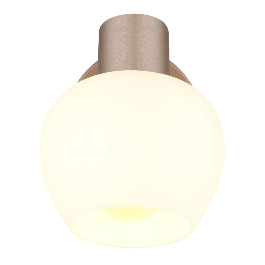 Globo - Væglampe med spot 1xE27/40W/230V