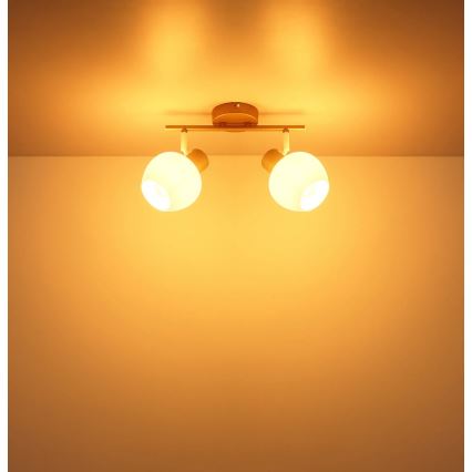 Globo - Spotlampe 2xE27/40W/230V