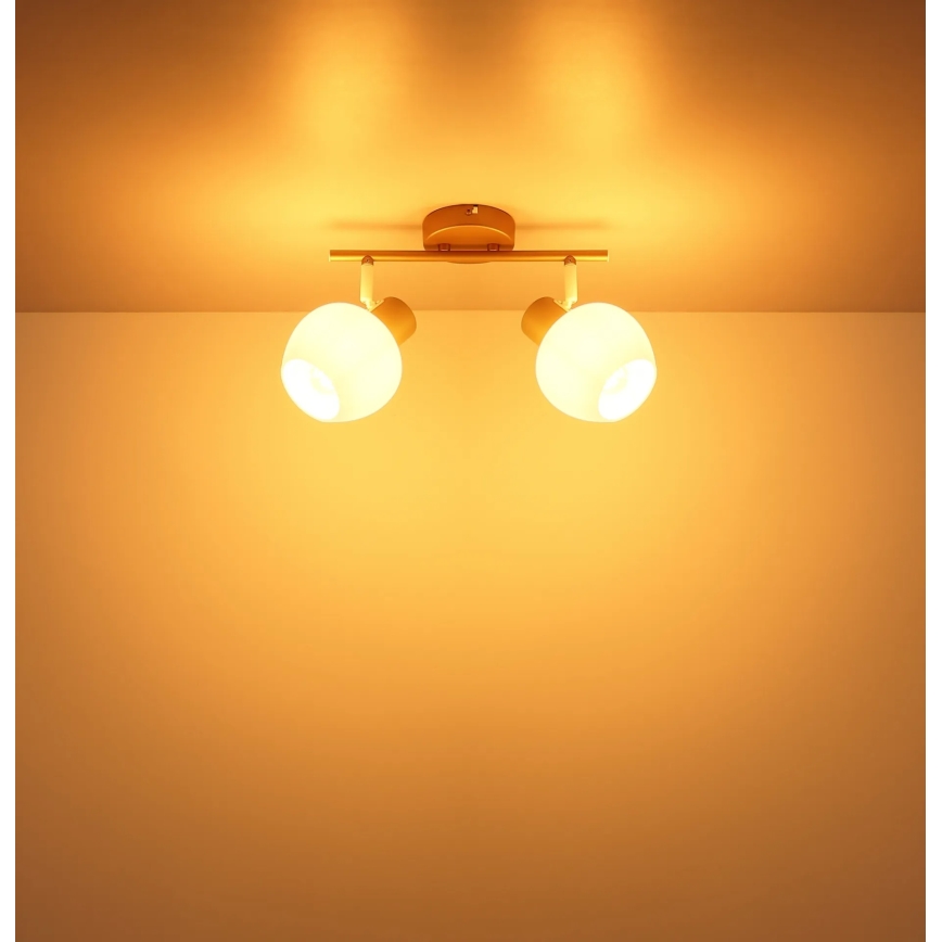 Globo - Spotlampe 2xE27/40W/230V