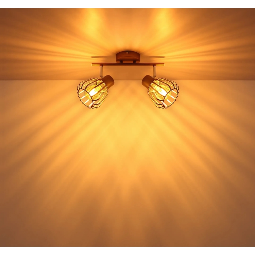 Globo - Spotlampe 2xE27/40W/230V