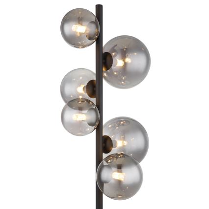 Globo - LED gulvlampe 6xG9/3,5W/230V røget/sort