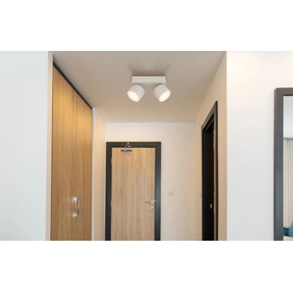 Globo - LED-spotlampe 2xLED/6W/230V