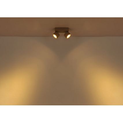 Globo - LED-spotlampe 2xLED/6W/230V