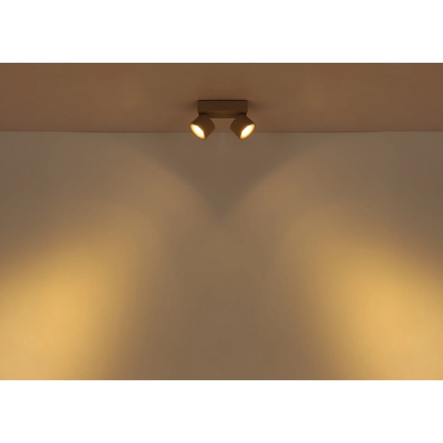 Globo - LED-spotlampe 2xLED/6W/230V