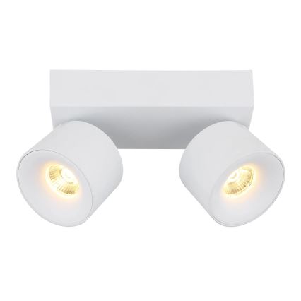 Globo - LED spotlampe 2xLED/6W/230V hvid