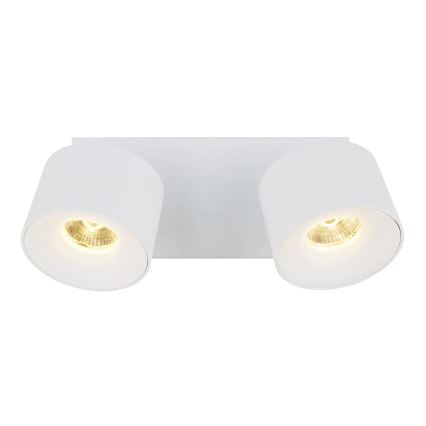 Globo - LED spotlampe 2xLED/6W/230V hvid