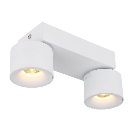 Globo - LED spotlampe 2xLED/6W/230V hvid