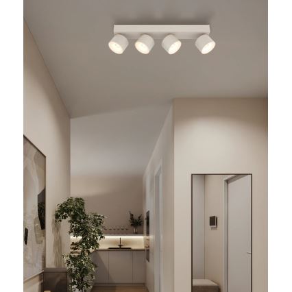 Globo - LED-spot 4xLED/6W/230V