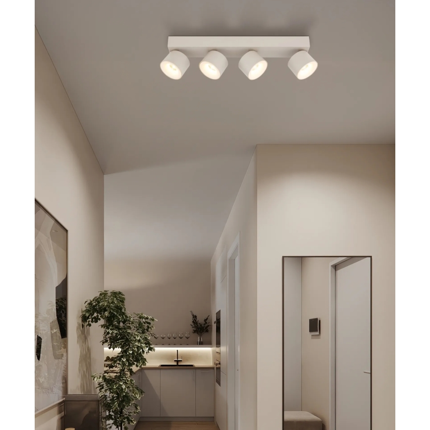 Globo - LED-spot 4xLED/6W/230V