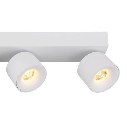 Globo - LED spotlampe 4xLED/6W/230V hvid