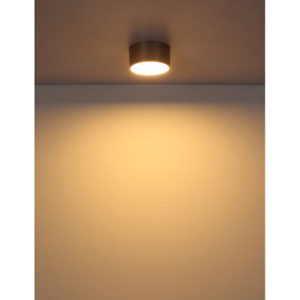 Globo - LED-loftlampe, 12W, 230V, Ø 15 cm, 3000K, messing