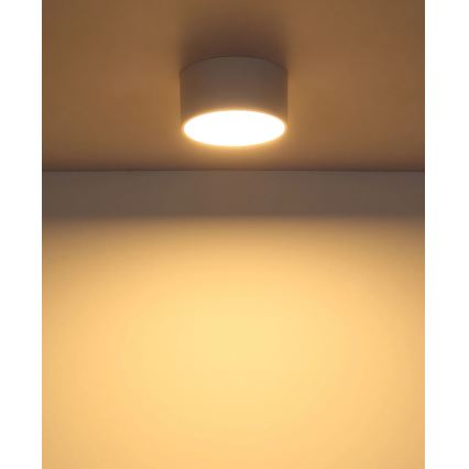 Globo - LED-loftlampe LED/12W/230V 3000K Ø 15 cm hvid