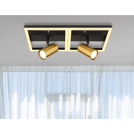 Globo - LED loftlampe 2xGU10/5W/230V + LED/22W/230V
