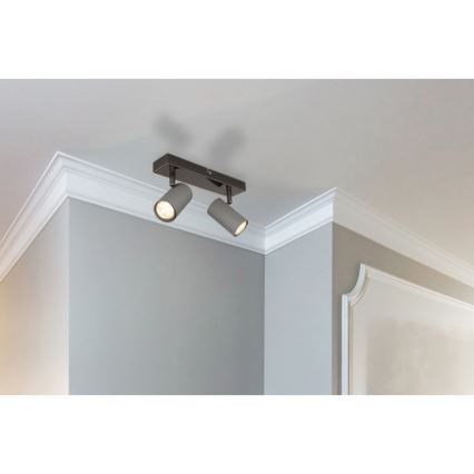 Globo - Spotlampe 2xGU10/25W/230V