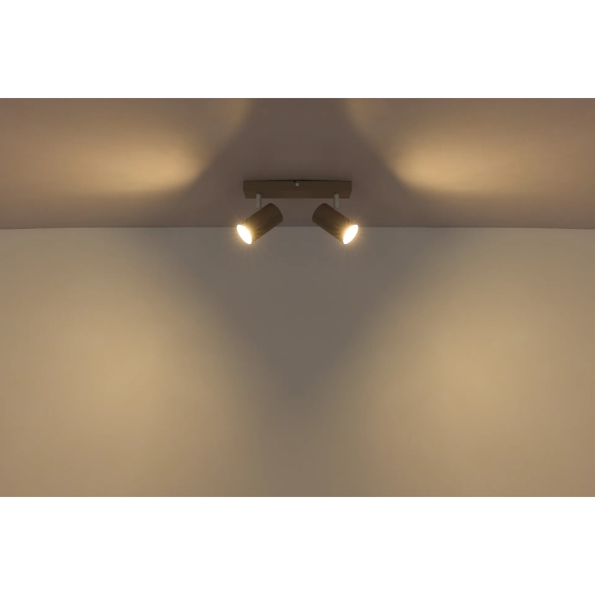 Globo - Spotlampe 2xGU10/35W/230V