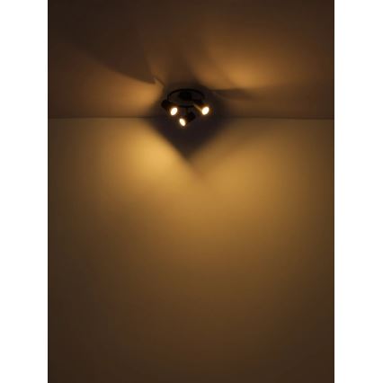 Globo - Spotlampe 3xGU10/25W/230V sort