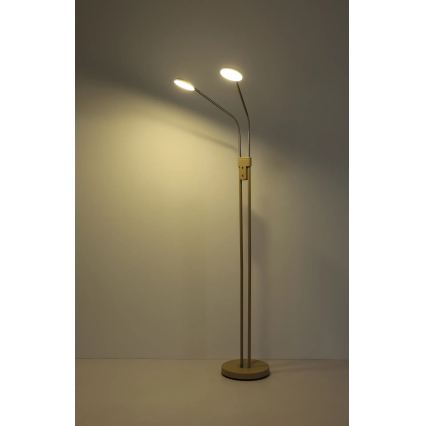 Globo - Dæmpbar LED-gulvlampe 2xLED/6,5W/230V 2700/3350/4000K beige