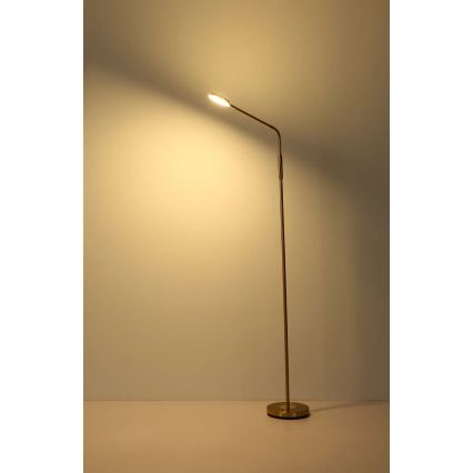 Globo - LED-dæmpbar berøringsbetjent gulvlampe LED/6,5W/230V 2700/3350/4000K messing