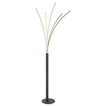 Globo - LED dæmpbar berøringsbetjent gulvlampe LED/36W/230V sort