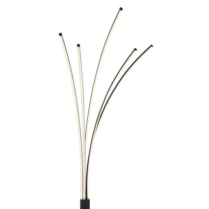 Globo - LED-dæmpbar gulvlampe LED/36W/230V 3000–6000K Wi-Fi Tuya + fjernbetjening
