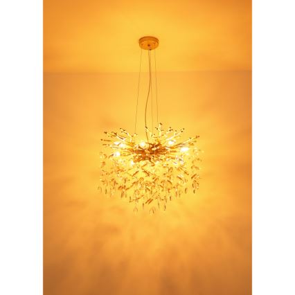 Globo - Lysekrone på kabel 8xE14/40W/230V guld