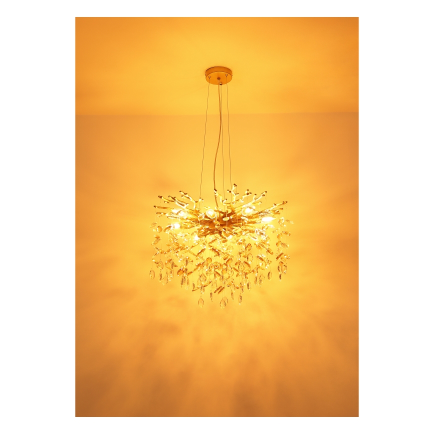 Globo - Lysekrone på kabel 8xE14/40W/230V guld