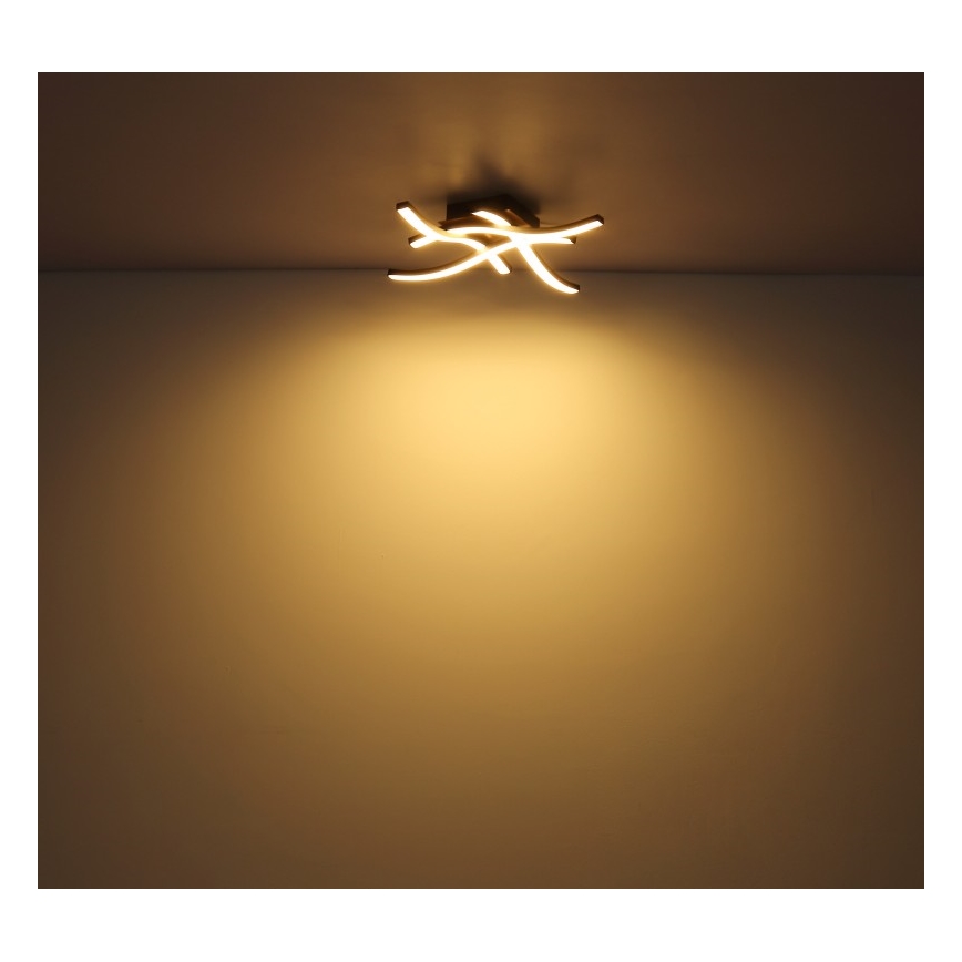 Globo - LED loftlampe 4xLED/5W/230V