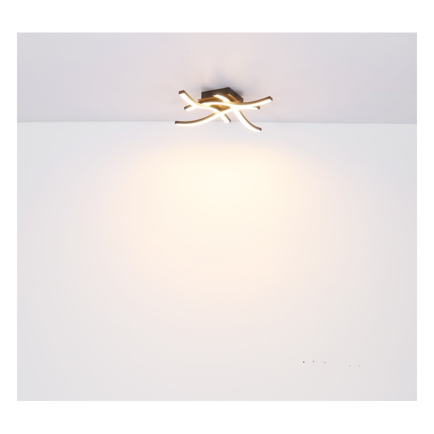Globo - LED loftlampe 4xLED/5W/230V