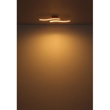 Globo - LED loftlampe LED/12W/230V 3000K hvid
