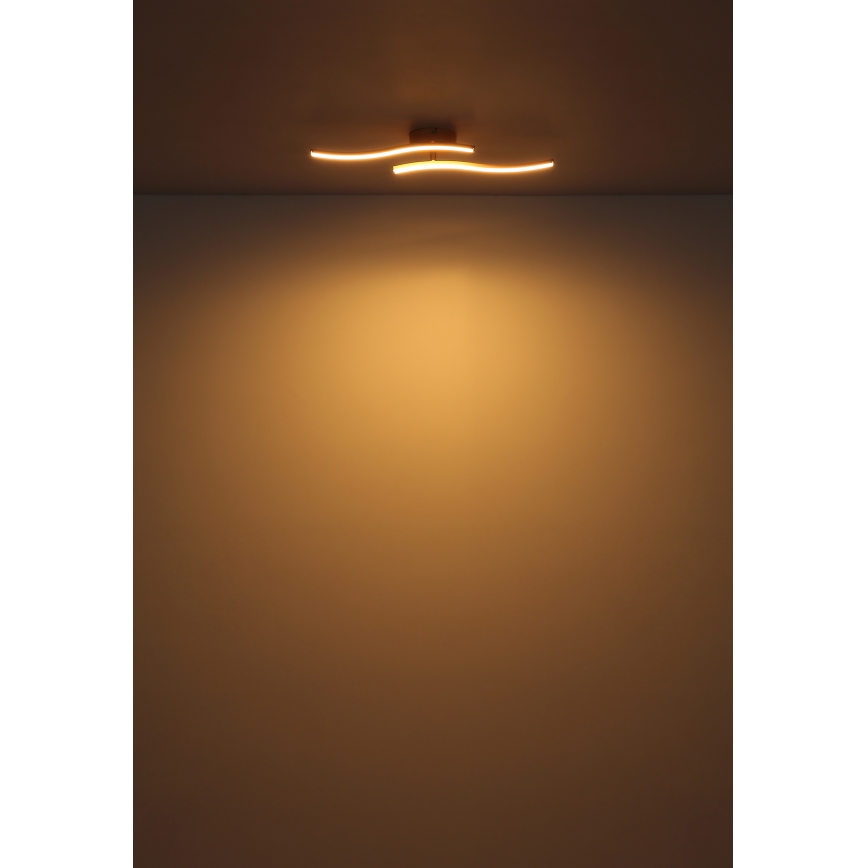 Globo - LED loftlampe LED/12W/230V 3000K hvid