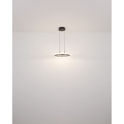 Globo - LED pendel LED/40W/230V 3000/4000/6000K diameter 39,7 cm brun