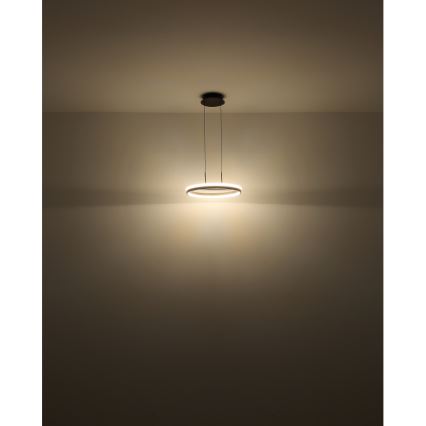 Globo - LED pendel LED/40W/230V 3000/4000/6000K diameter 39,7 cm brun